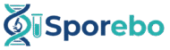 sporebo.store